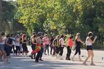 schiphalast 最新版