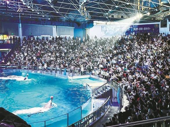 黑色星期五之夜 腐化版正版截图1