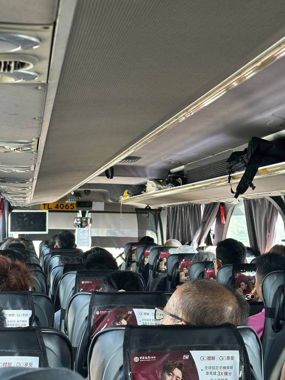 植物大战僵尸1 网页版截图0