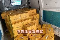 闪烁之光 官方正版截图0