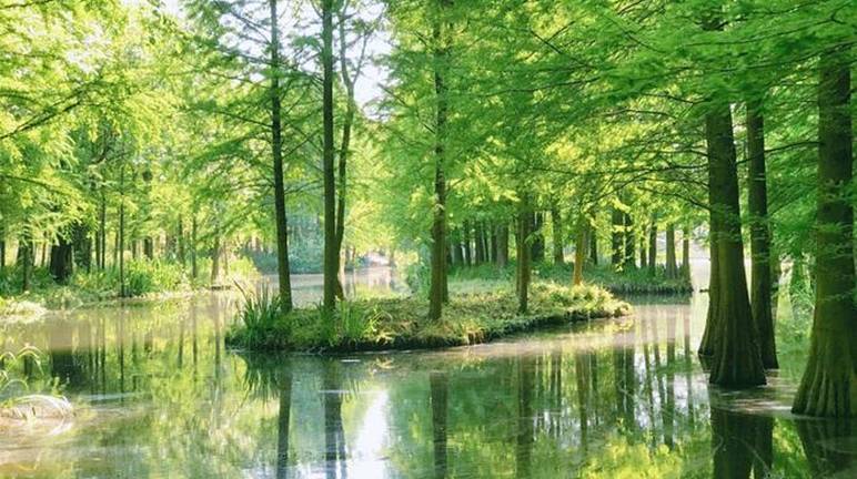 dddde. vip官方版,文件突然飞过来，不打开也完全不会影响你的礼貌