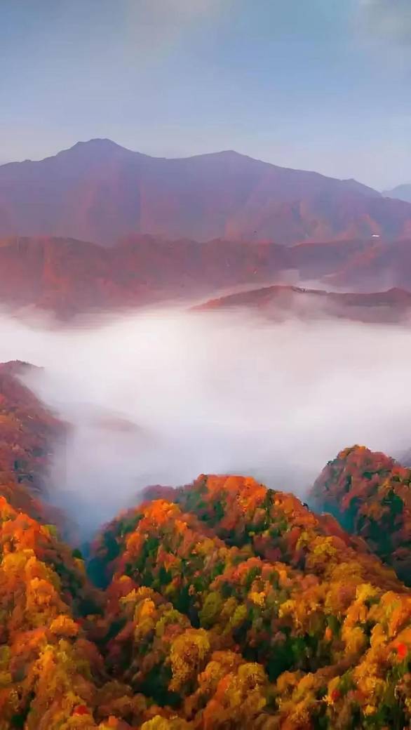 日本人妻激情无码a片,一条“嗨，在吗”可能是试探，背后隐藏更深的监控风险